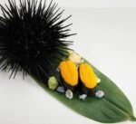 WhatsApp Image 2025 12 13 at 3.24.34 AM