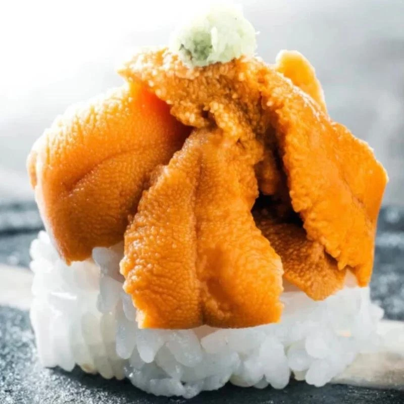 WhatsApp Image 2025 12 13 at 3.24.56 AM