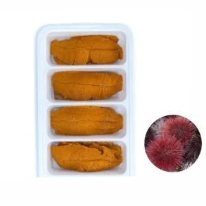 WhatsApp Image 2025 12 13 at 3.27.48 AM