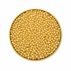 WhatsApp Image 2025 12 28 at 7.28.05 PM