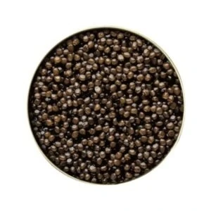 WhatsApp Image 2025 12 16 at 1.02.12 PM