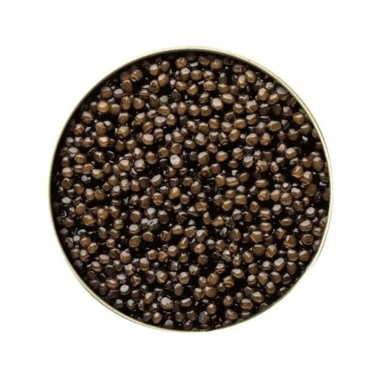 WhatsApp Image 2025 12 16 at 1.02.12 PM