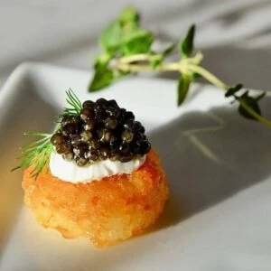 WhatsApp Image 2025 12 16 at 1.02.13 PM