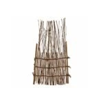 WhatsApp Image 2026 01 21 at 12.00.39 AMnki