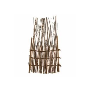 WhatsApp Image 2026 01 21 at 12.00.39 AMnki