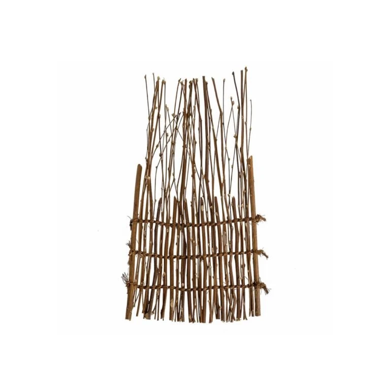 WhatsApp Image 2026 01 21 at 12.00.39 AMnki