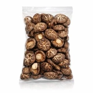 WhatsApp Image 2026 01 13 at 1.32.16 AM