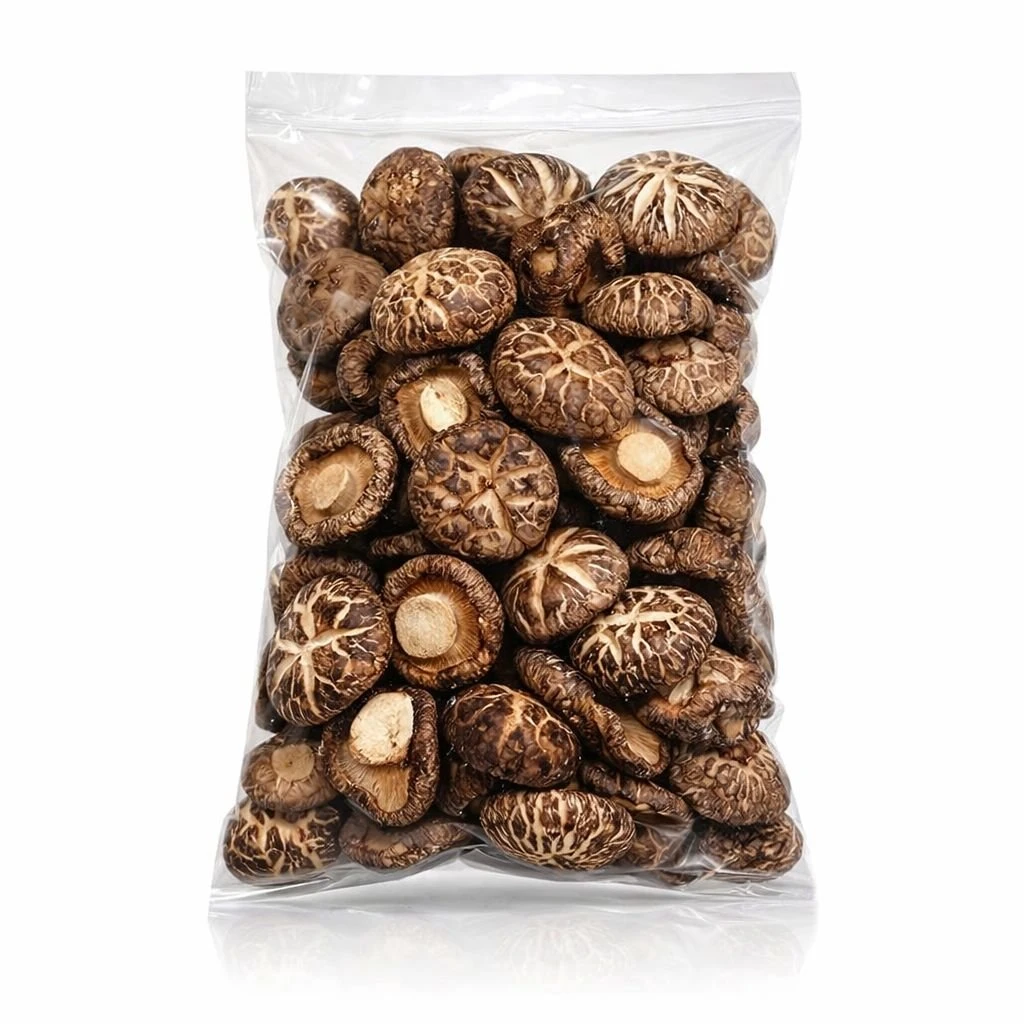 WhatsApp Image 2026 01 13 at 1.32.16 AM